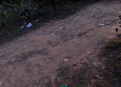 The Wounds of Tourism: Biodiversity in Peril and Crisis